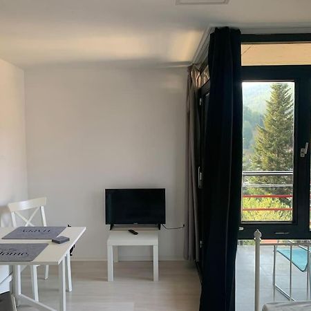 Gemuetliches Einzimmer-Apartment 33 Bad Wildbad Exteriér fotografie