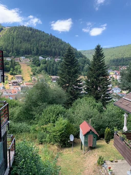 Gemuetliches Einzimmer-Apartment 33 Bad Wildbad Exteriér fotografie