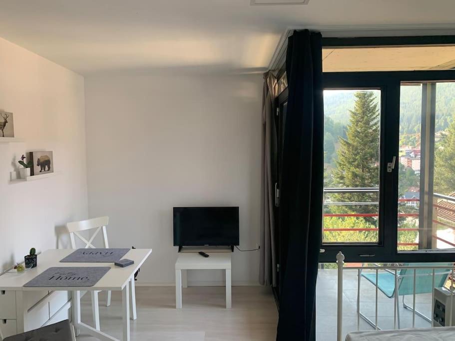 Gemuetliches Einzimmer-Apartment 33 Bad Wildbad Exteriér fotografie