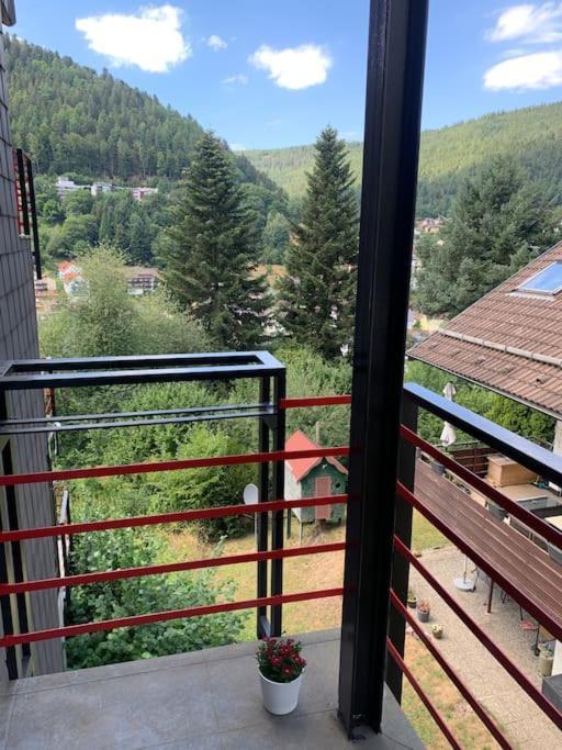 Gemuetliches Einzimmer-Apartment 33 Bad Wildbad Exteriér fotografie